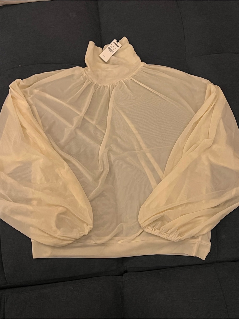 Express Sheer Cream High-Neck Blouse